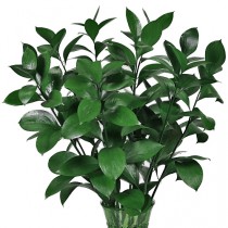 Extra greens